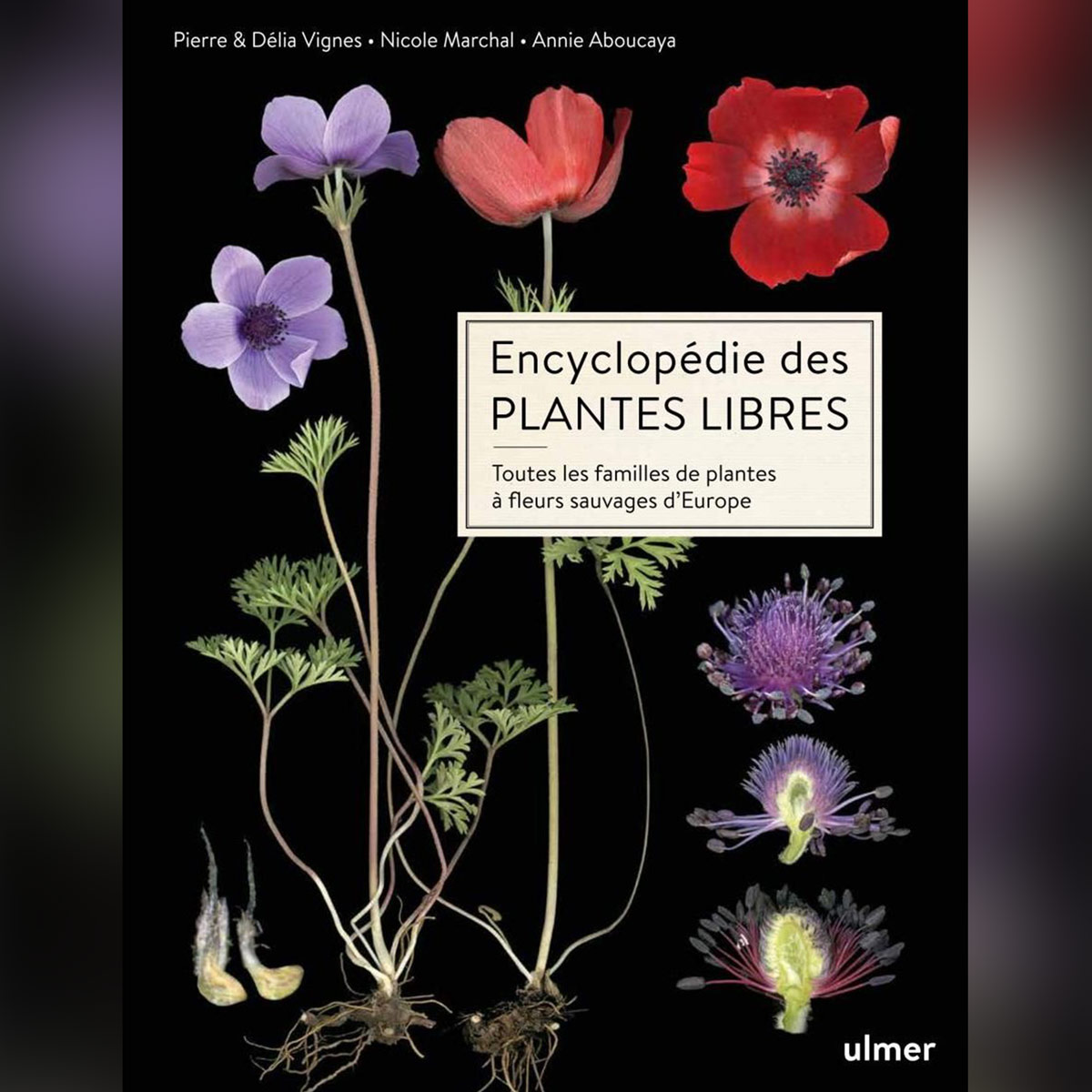 Annie Aboucaya et Nicole Marchal, auteures du livre « Encyclopédie des plantes libres» seront présentes lors de la deuxième édition du Festival Lire Au Pradet les 23 et 24 mars 2024