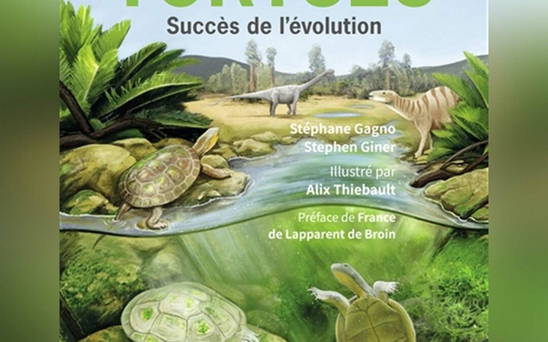 Stéphane Gagno  – « Les tortues, succès de l’évolution »