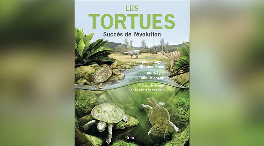 Conférence : Les tortues, succès de l’évolution