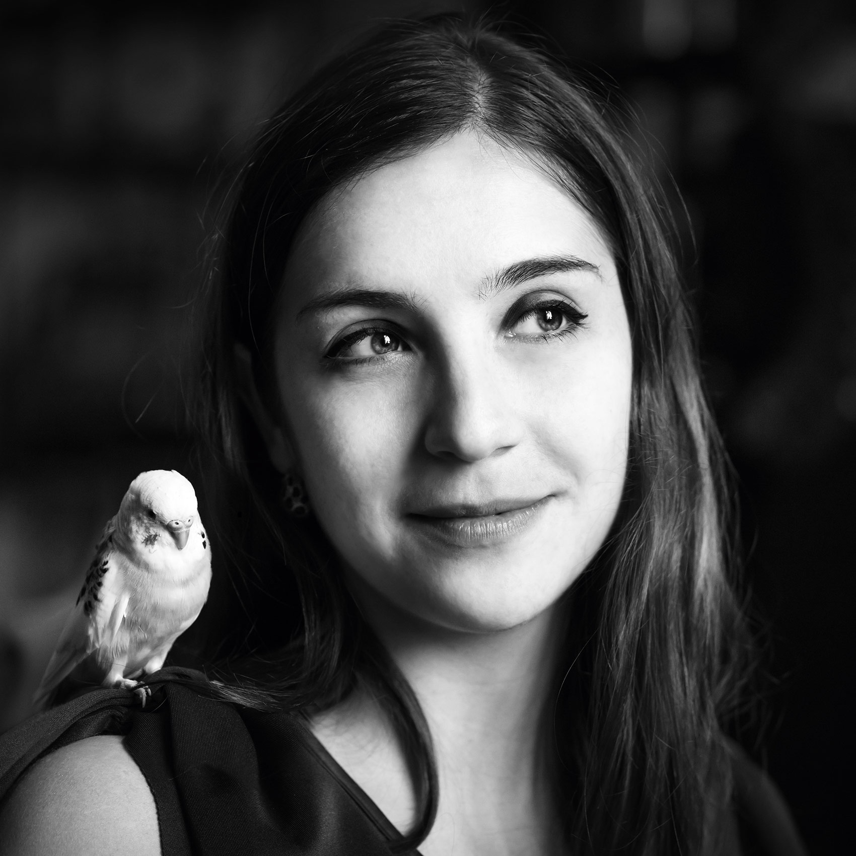 Les Enfants du Purgatoire, un livre de Claude Ardid présenté au Festival Lire au Pradet les 23 et 24 mars 2024