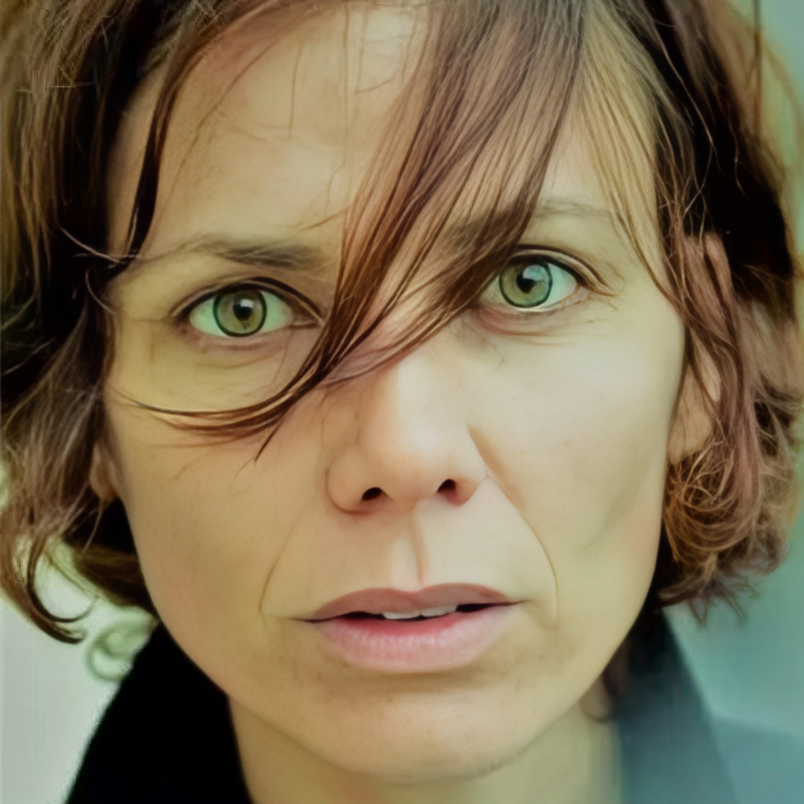 Couverture du livre "Les Tortues - Succès de l'évolution"